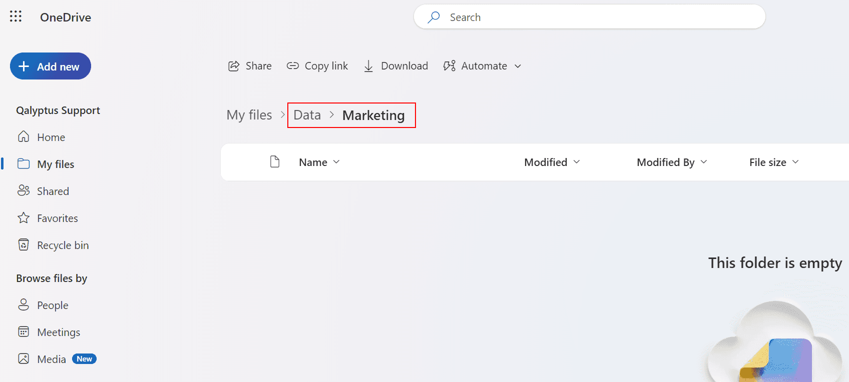 Qalyptus Cloud Storage services - OneDrive info